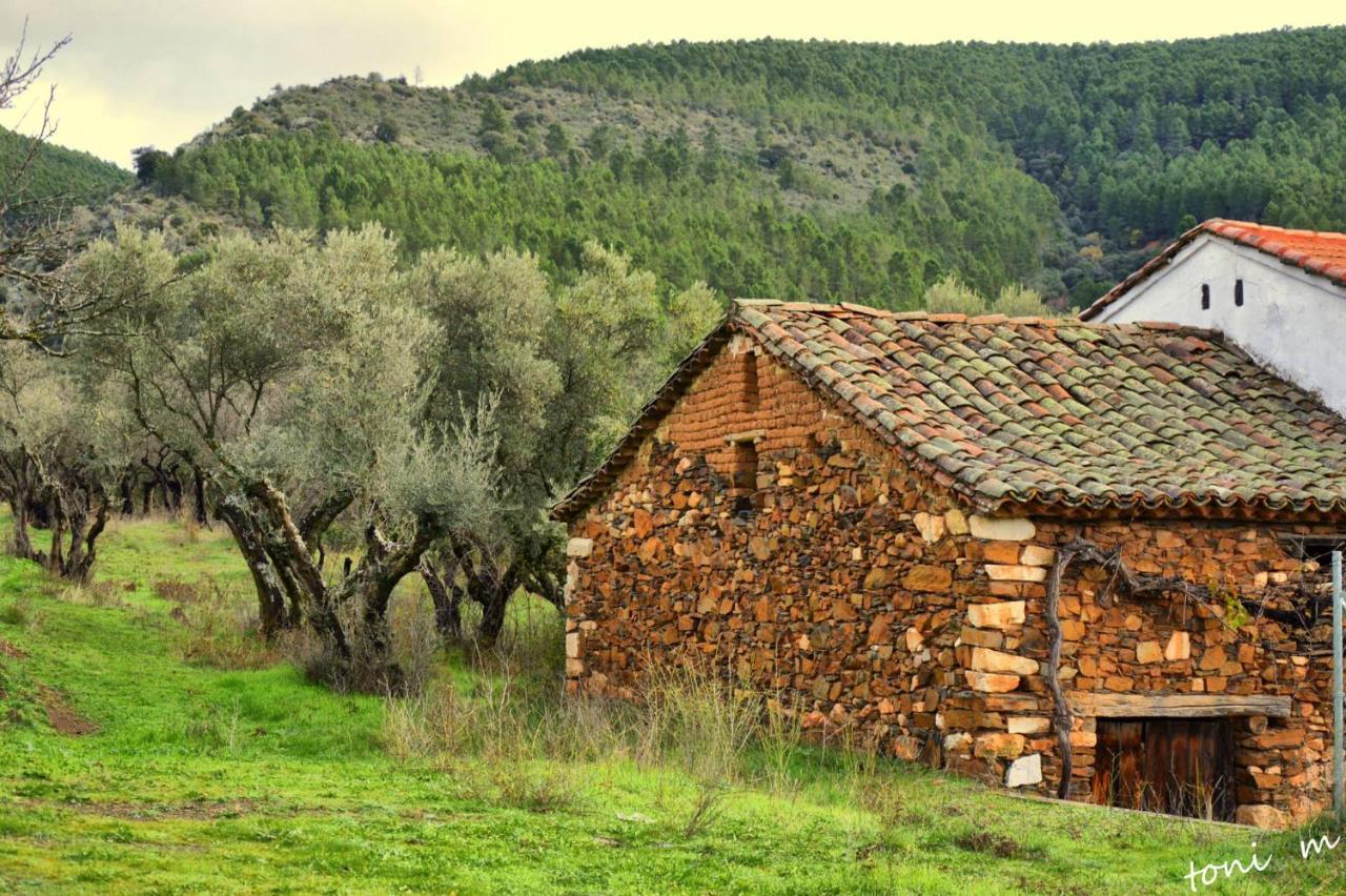 La Casita de Leire Tamajon Exterior foto